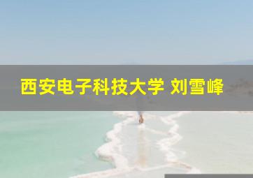 西安电子科技大学 刘雪峰